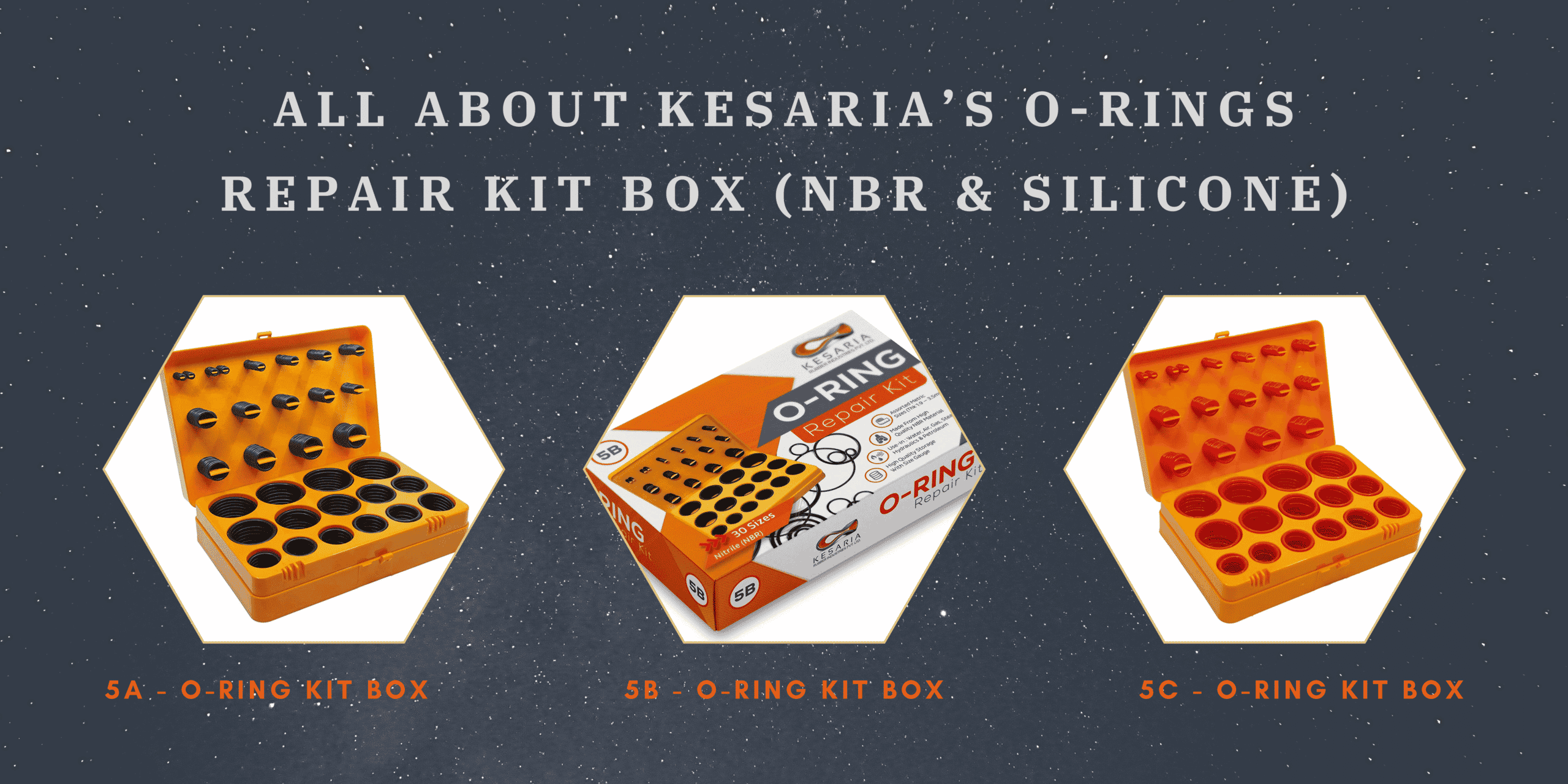 All-About-Kesarias-O-Rings-repair-Kit-Box-nbr-silicone.png