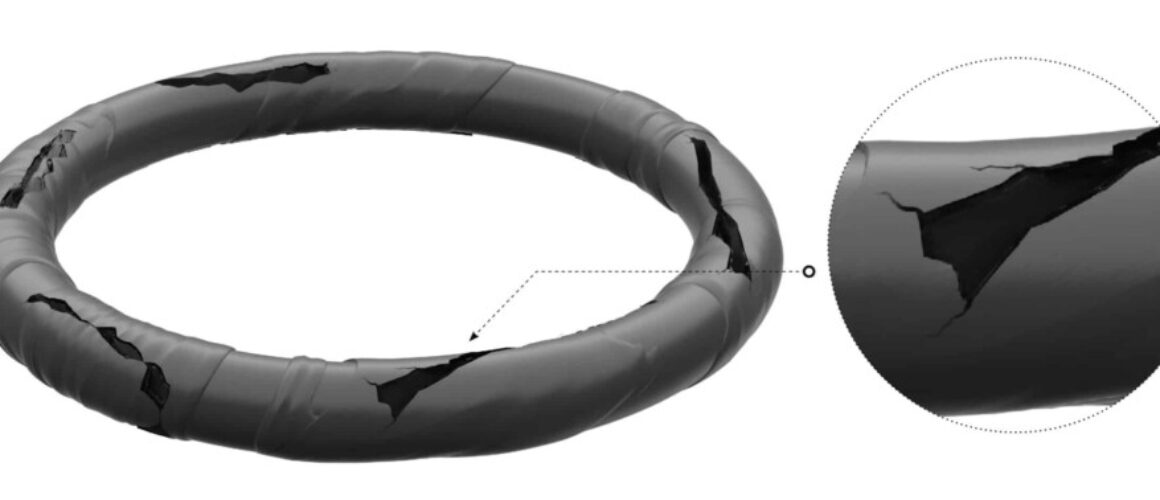 Type of O-rings failure